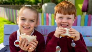 Longford National School is healthy heroes star school for May
