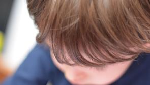 Parents in Kildare pay an average of &euro;850 for childcare, D&aacute;il hears