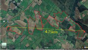 Laois locals feel 'ignored' as objections launched against 5km solar farm