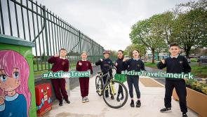 Limerick wins prestigious award for multi-million euro road project