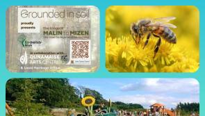 Guide: Dozens of fun events for Laois Biodiversity Week