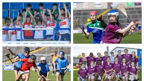 PICTURES: Smiles all round as young Laois GAA stars compete in Cumann na mBunscoll
