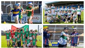 PICTURES: Young Laois GAA stars all set for final day of Cumann na MBunscol