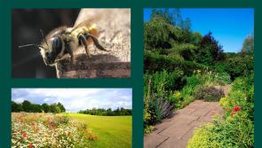 WHAT'S ON: OPW launches exciting event at Carlow gardens as part of bio diversity week
