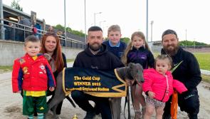 Derry Greyhounds: Do It Jella’s Brandywell Gold Cup Glory