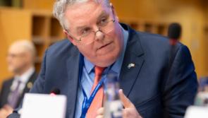 Longford MEP says 'vital' European amendments can provide 'lifeline' for workers, businesses, and communities 