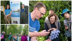 Blooming biodiversity enjoyed in Laois
