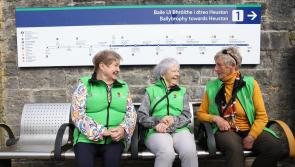 Laois over 70s can bring free companion on travel pass
