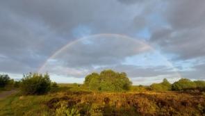 €350,000 boost for Lough Boora and Midlands trails announced