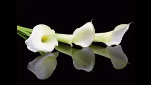 RIP: Heartfelt tributes paid following death of 'kind' Kilkenny woman