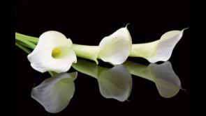 RIP: Sadness at death of Kilkenny man after 'long and fulfilling life' 