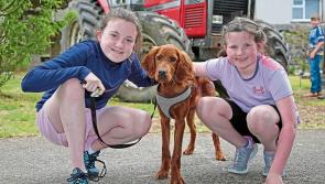 Helicopter rides, Farmer Phil and singer David O'Connor join bumper programme for Longford Vintage Club Show