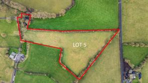 Parcel of land in Offaly shaped remarkably like mythical creature now on the market
