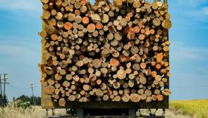 Leitrim roads under severe pressure from timber haulage, meeting hears