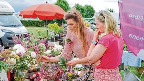 Laois Buds & Blossoms Festival Returns for 2025