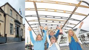 Concern if Portlaoise Plane could fit in door of Laois Museum at courthouse