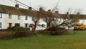 Donegal makes the 11th most Storm Éowyn assistance claims
