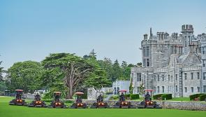 Confirmation of Ryder Cup dates 'offers Limerick businesses certainty'