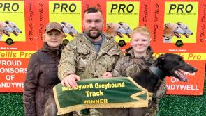 Derry Greyhounds: Diegos Manna scores at Brandywell
