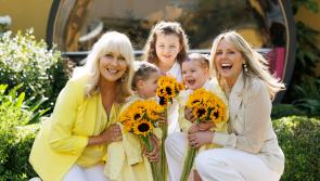 Show your support for Offaly Hospice on Sunflower Days this Friday and Saturday