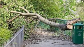 Storm Éowyn triggers 700+ aid requests in Offaly
