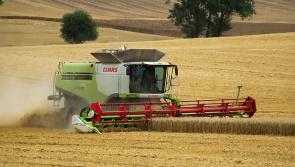 Big event in Laois for Irish tillage farmers 