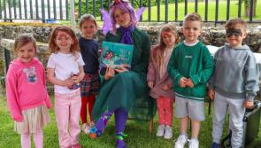 In pictures: All smiles at Cruinniú na nÓg Family Fun Day at Donegal Castle