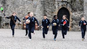 New sports plan to increase physical activity within Limerick city and county