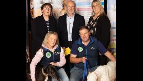PICTURES: 'Night at the Dogs' fundraiser launched to raise funds for commemoration of Limerick tragedy