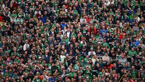 Sriracha Rebels V Guacamole Greens: A wild Munster hurling final night in Limerick

