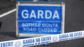 Kilkenny community taking action after 'far too many accidents' on local road