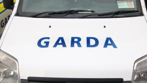 Longford motorist who was over the limit &lsquo;crossed white line&rsquo; and nearly struck garda car