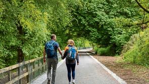 Calls made for 'urgent action' to complete greenway link in Limerick ahead of Ryder Cup