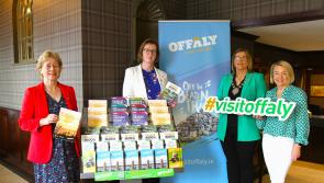 Offaly town enhancing the visitor experience  with new information kiosks