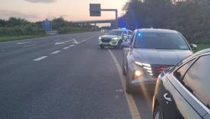 Louth Garda&iacute; catch dangerous driver speeding at 196km/h on M1