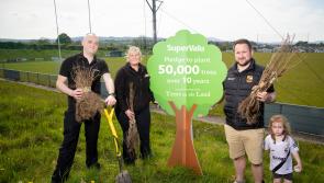 County Derry sports clubs receive trees from SuperValu