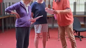 'Summer Shorts' to enliven the arts scene in Offaly this July