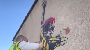 Kilkenny hurling legend to be painted on to the walls of UPMC Nowlan Park 