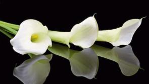 RIP: Tipperary deaths and funeral details, June 25