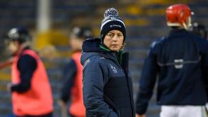 Former Tipperary hurling psychologist joins Paul O'Connell's Irish rugby management team
