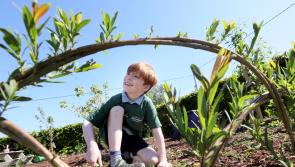 Two Offaly schools achieve prestigious Nature Hero Awards