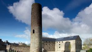 Roscrea's Blackmills will welcome Charly, Johnny and Liam this Friday