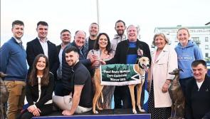 Memory of late Offaly man celebrated in big Shelbourne Park greyhound final
