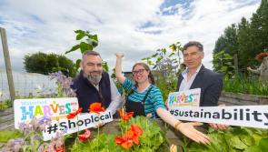 Food, music and craic on the menu as Waterford Harvest Festival reveals 2025 line-up