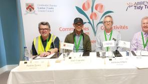 International judges find 'hidden gems' in Laois town