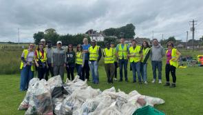 Multinational business returns to carry out clean-up in The Curragh of Kildare