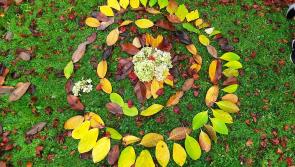 Art and ecology symposium comes to Roscrea