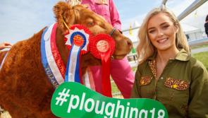 No hotel rooms left in Tullamore for Ploughing