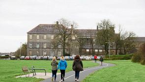 Update issued on plans for new sensory garden in Limerick community