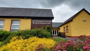 Important update given on construction works at Laois primary school